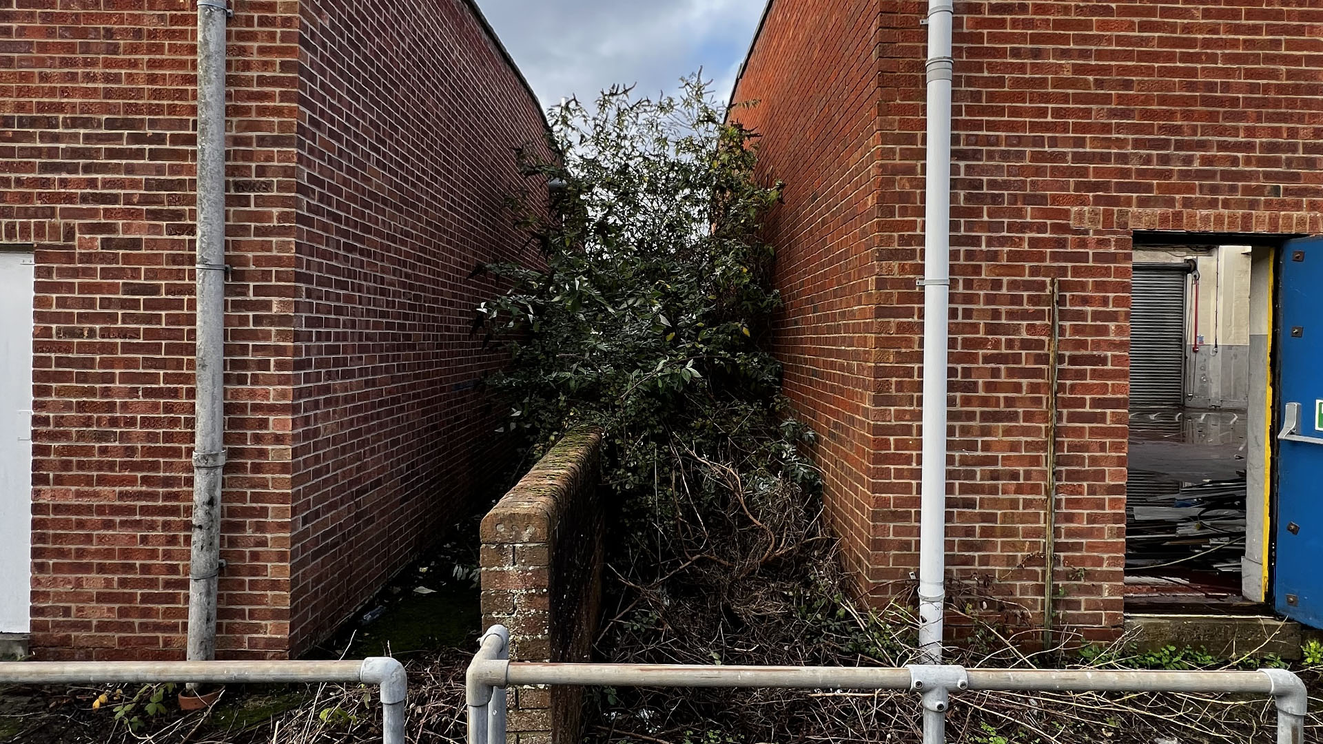 Who Should You Contact First — The Council, a Surveyor, or Your Neighbour Brighton and Hove?
